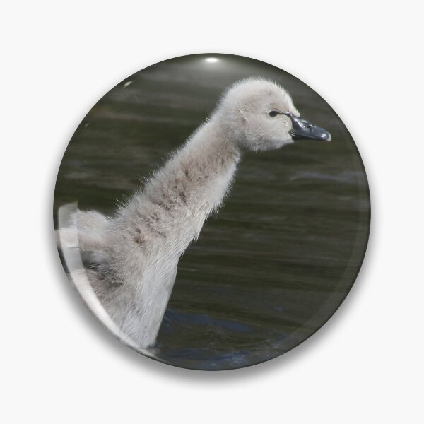 Item preview, King of the Pond designed and sold by Phillip Weyers.
