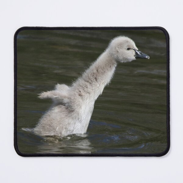 Item preview, King of the Pond designed and sold by Phillip Weyers.