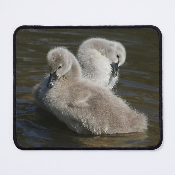 Item preview, Two Cute designed and sold by Phillip Weyers.
