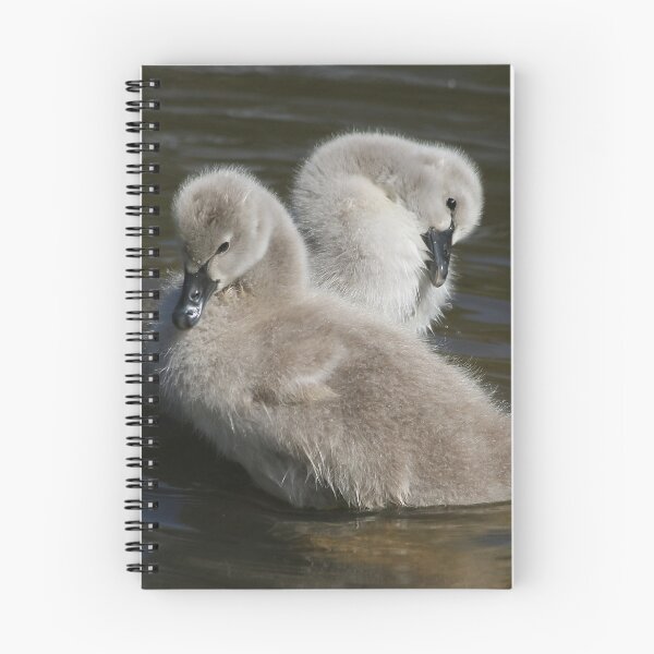 Item preview, Two Cute designed and sold by Phillip Weyers.