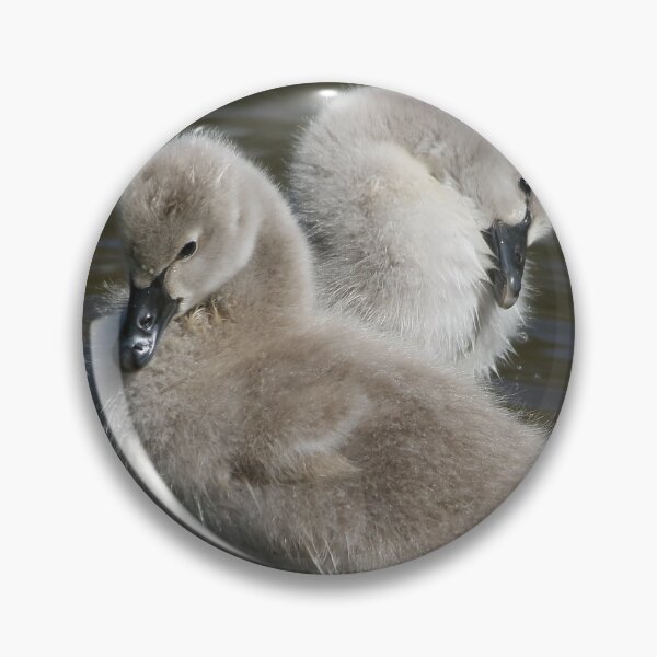 Item preview, Two Cute designed and sold by Phillip Weyers.