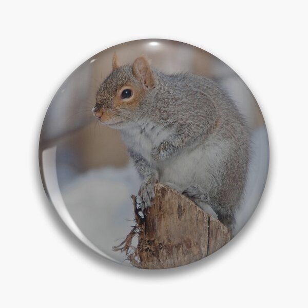 Item preview, Grey squirrel on a tree trunk designed and sold by Production Art Manon Meilleur.
