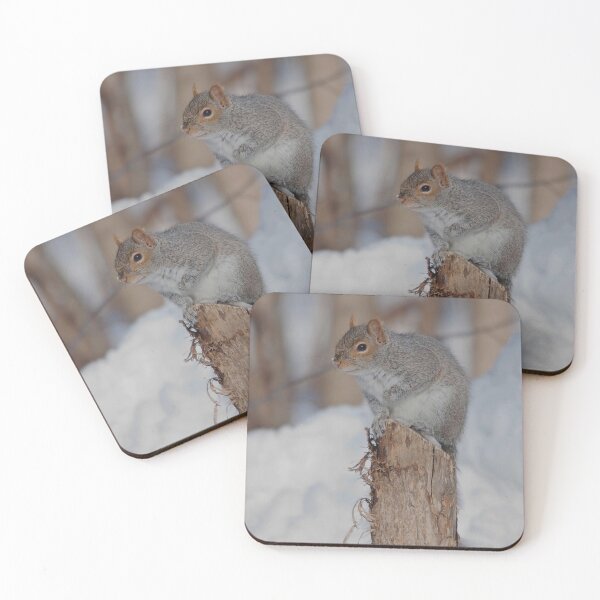 Item preview, Grey squirrel on a tree trunk designed and sold by Production Art Manon Meilleur.