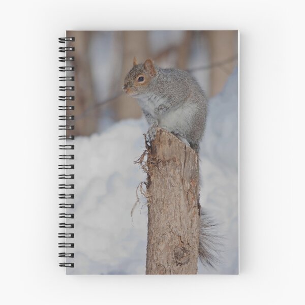 Item preview, Grey squirrel on a tree trunk designed and sold by Production Art Manon Meilleur.