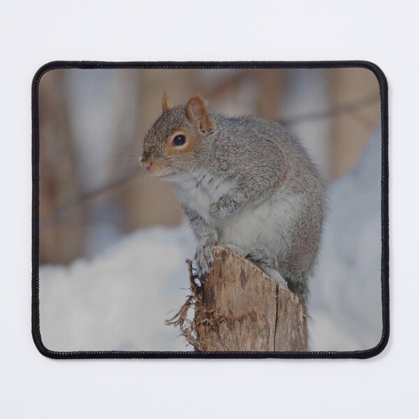 Item preview, Grey squirrel on a tree trunk designed and sold by Production Art Manon Meilleur.