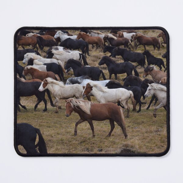 Item preview, Icelandic horses coming back from the mountains designed and sold by elisainiceland.