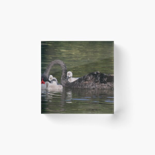 Item preview, Feeding Time designed and sold by Phillip Weyers.