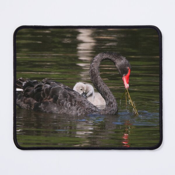 Item preview, Feeding Time 2 designed and sold by Phillip Weyers.