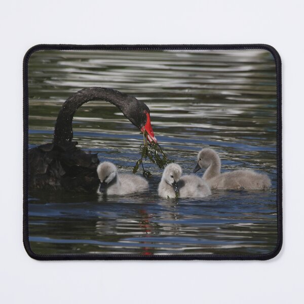 Item preview, Feeding Time 4 designed and sold by Phillip Weyers.