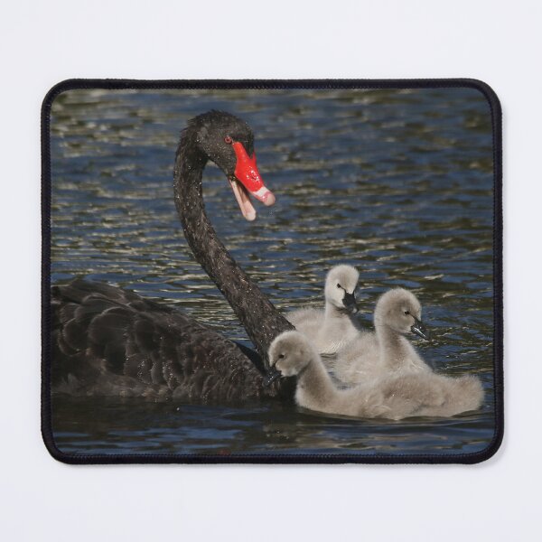 Item preview, Feeding Time 5 designed and sold by Phillip Weyers.