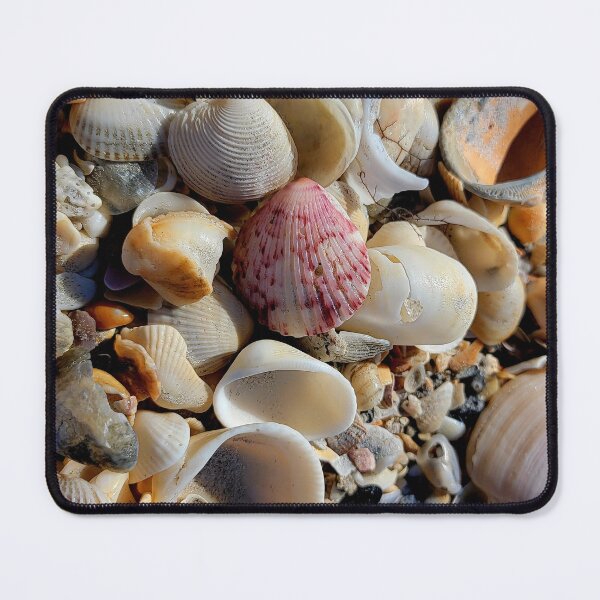 Item preview, Shells designed and sold by Jmb67.