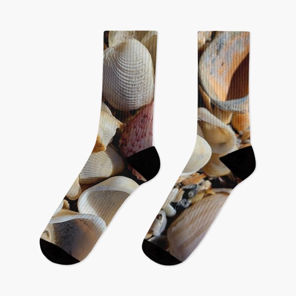 Item preview, Shells designed and sold by Jmb67.