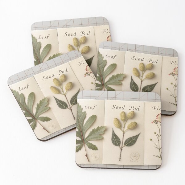 Item preview, Botanical Scientific Plate designed and sold by Bionson Art.