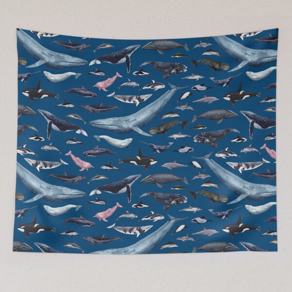 Item preview, CETACEANS POSTER-navy blue text designed and sold by BEATRIZ ABAITUA.