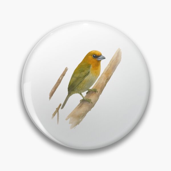 Item preview, Prong-billed Barbet (Semnornis frantzii) designed and sold by HOMETOWN86.