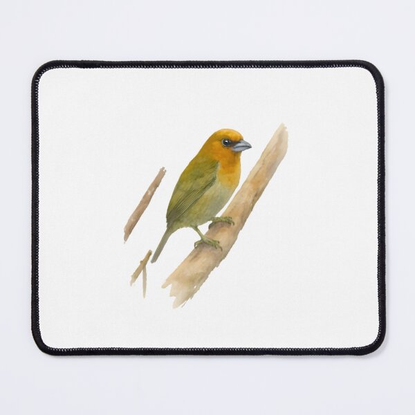 Item preview, Prong-billed Barbet (Semnornis frantzii) designed and sold by HOMETOWN86.