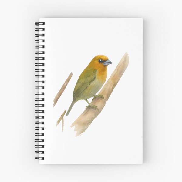 Item preview, Prong-billed Barbet (Semnornis frantzii) designed and sold by HOMETOWN86.