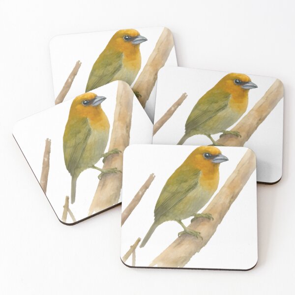 Item preview, Prong-billed Barbet (Semnornis frantzii) designed and sold by HOMETOWN86.