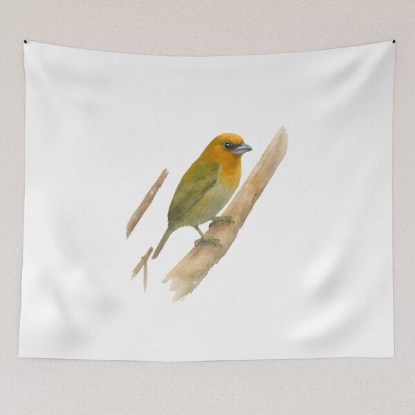Item preview, Prong-billed Barbet (Semnornis frantzii) designed and sold by HOMETOWN86.