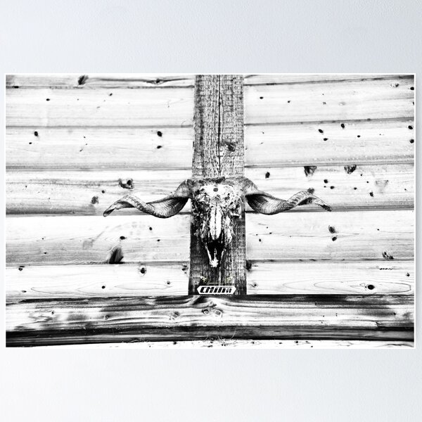 Item preview, Ram's head in silver tones – strength and elegance / Swiss Artwork Photography designed and sold by Raphael Wolf.
