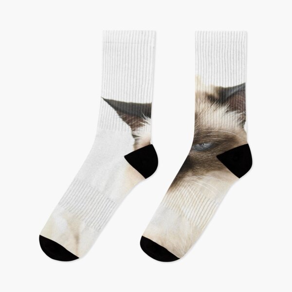 Item preview, Siamese cat with half-closed eyes – “I’m going stir-crazy” look / Swiss Artwork Photography designed and sold by Raphael Wolf.