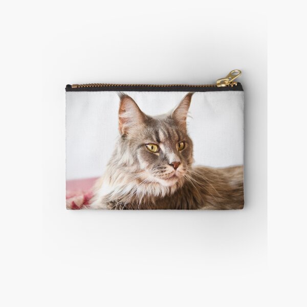 Item preview, Maine Coon close-up – Curious look “What’s going on?” / Swiss Artwork Photography designed and sold by Raphael Wolf.