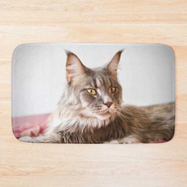 Item preview, Maine Coon close-up – Curious look “What’s going on?” / Swiss Artwork Photography designed and sold by Raphael Wolf.
