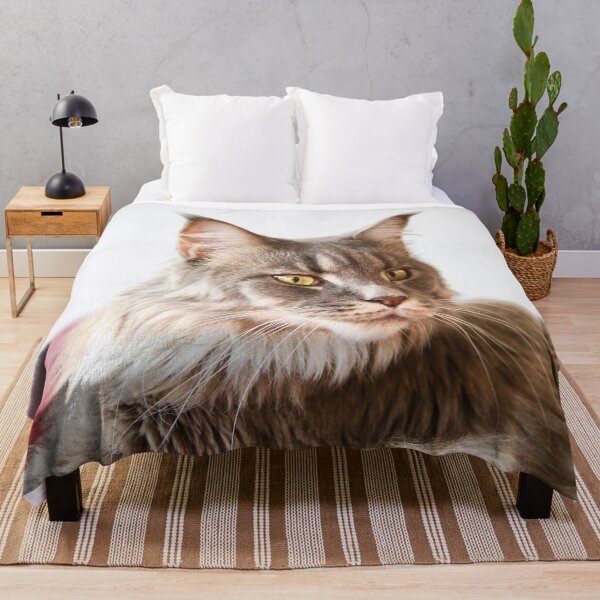 Item preview, Maine Coon close-up – Curious look “What’s going on?” / Swiss Artwork Photography designed and sold by Raphael Wolf.