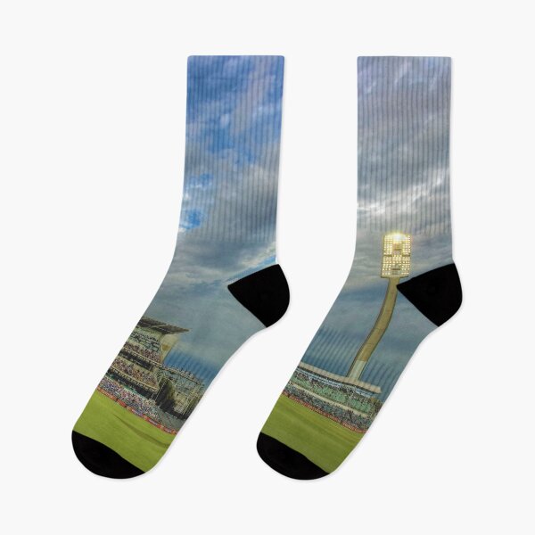 Item preview, WACA Perth WA  - England Vs India ODI International 2015 designed and sold by Colin  Williams Photography.