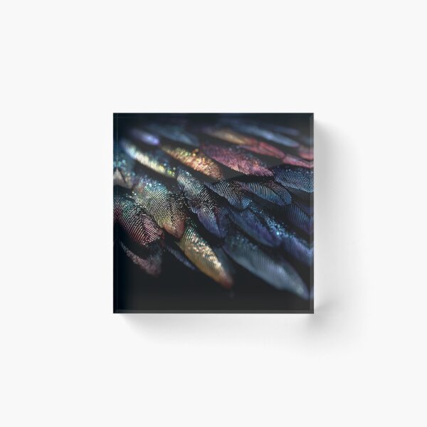 Item preview, Colorful feathers form patterns designed and sold by anytka.