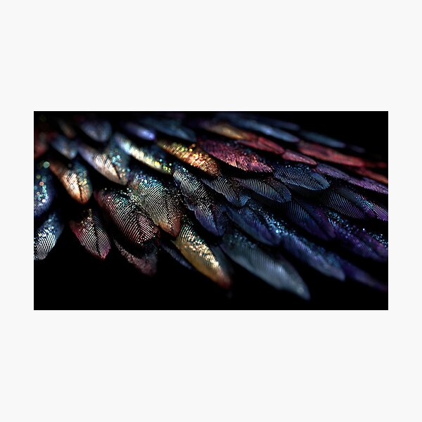 Item preview, Colorful feathers form patterns designed and sold by anytka.