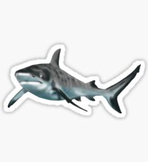 shark Sticker