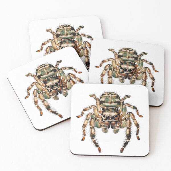 Item preview, Vintage Distressed Jumping Spider Natural History Illustration Retro Arachnid Art designed and sold by GeniePixel.