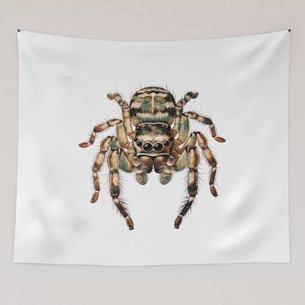 Item preview, Vintage Distressed Jumping Spider Natural History Illustration Retro Arachnid Art designed and sold by GeniePixel.