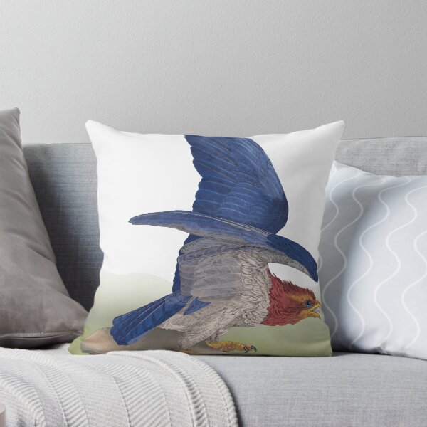 Item preview, Birds of America : Jayhawk designed and sold by pavuvu.