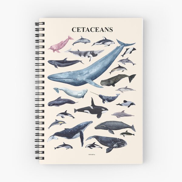 Item preview, CETACEANS POSTER-white designed and sold by BEATRIZ ABAITUA.