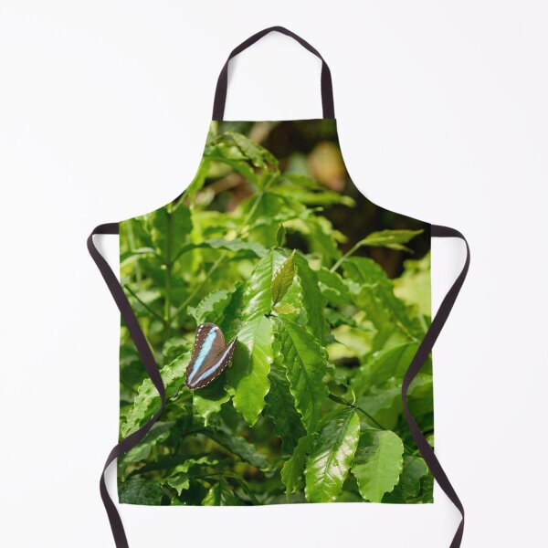 Item preview, Blue Banded Morpho designed and sold by Jouko Lehto Photography.