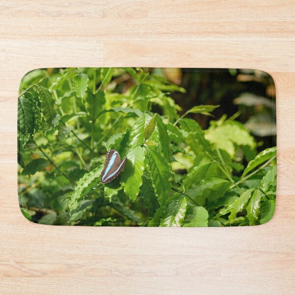 Item preview, Blue Banded Morpho designed and sold by Jouko Lehto Photography.