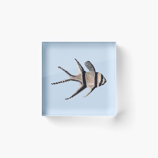Item preview, BANGGAI CARDINALFISH-Pterapogon kauderni designed and sold by BEATRIZ ABAITUA.