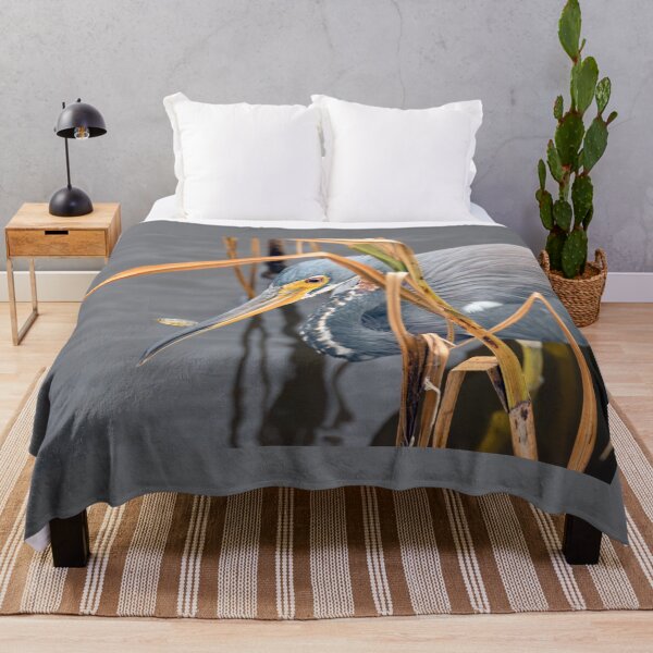 Item preview, Tricolored Heron With Its Little Fish designed and sold by Debra Martz.