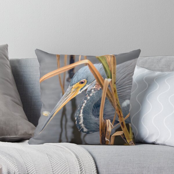 Item preview, Tricolored Heron With Its Little Fish designed and sold by Debra Martz.