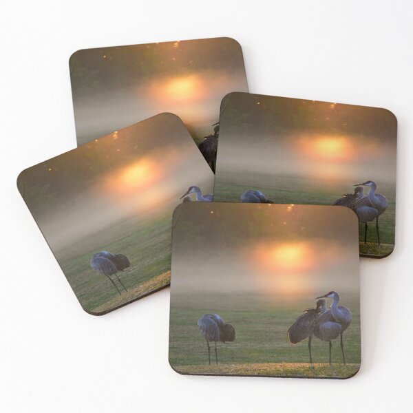 Item preview, Sandhill Cranes at Misty Sunrise designed and sold by MercerImages.