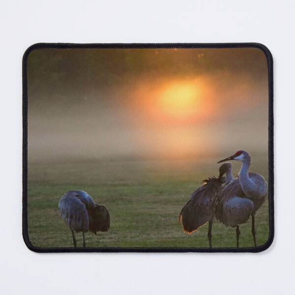 Item preview, Sandhill Cranes at Misty Sunrise designed and sold by MercerImages.