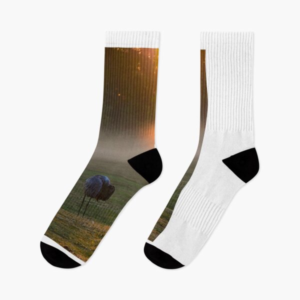 Item preview, Sandhill Cranes at Misty Sunrise designed and sold by MercerImages.