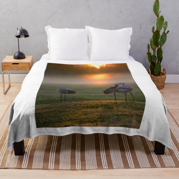 Item preview, Sandhill Cranes at Misty Sunrise designed and sold by MercerImages.