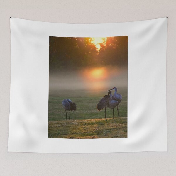 Item preview, Sandhill Cranes at Misty Sunrise designed and sold by MercerImages.