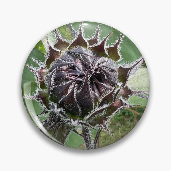 Item preview, Sunflower Bud 2 designed and sold by Abeink1030.