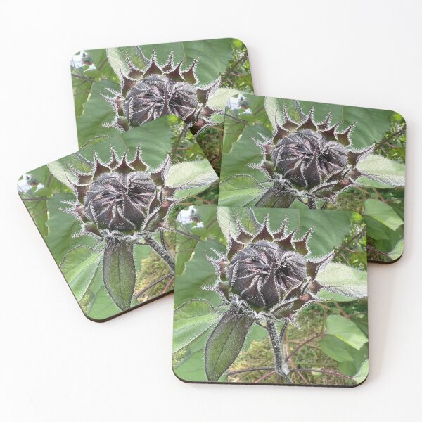 Item preview, Sunflower Bud 2 designed and sold by Abeink1030.