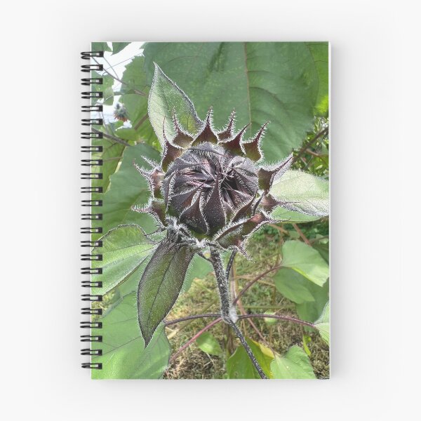 Item preview, Sunflower Bud 2 designed and sold by Abeink1030.