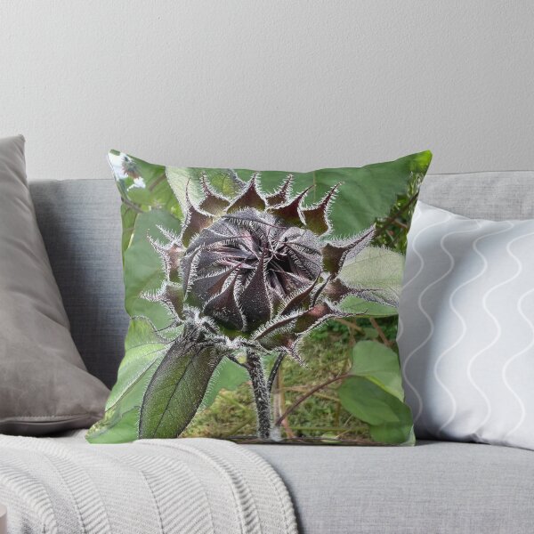 Item preview, Sunflower Bud 2 designed and sold by Abeink1030.